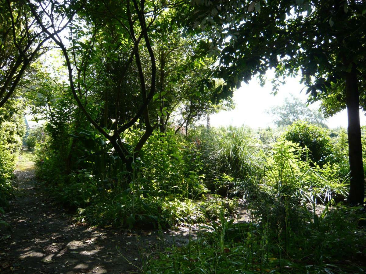 The Croft Guest House - Cockwood Harbour Near เอ็กซิเตอร์ ภายนอก รูปภาพ